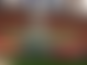 2025/03/18 [院會] 積極建構經濟安全保障機制保護關鍵基礎技術，官方合作、指定網站須有更好的資安保障！