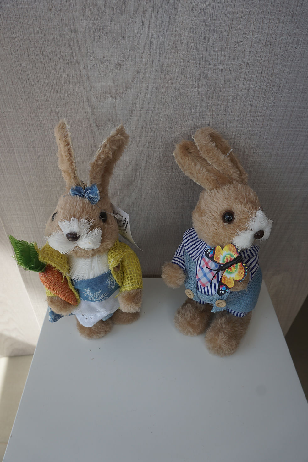 Μικρογραφία: Λαγουδάκι σε 2 σχέδια