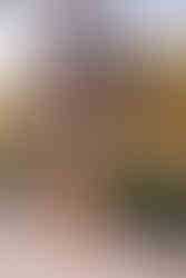 graduate holding their cap