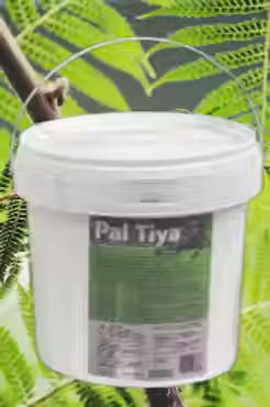 Pal Tiya Premium