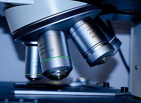 Ars Technica Reports Cutting Edge AI Innovations Halt Image Manipulation in Science Including Insights from Proofig AI