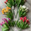 Thumbnail: 12x Spring Flower Bushes