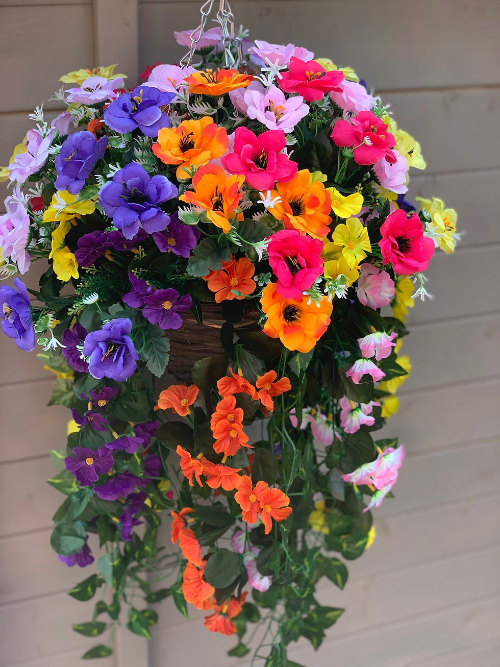 Thumbnail: Colourful Anemones Garden Hanging Basket Trailing Length 70cm