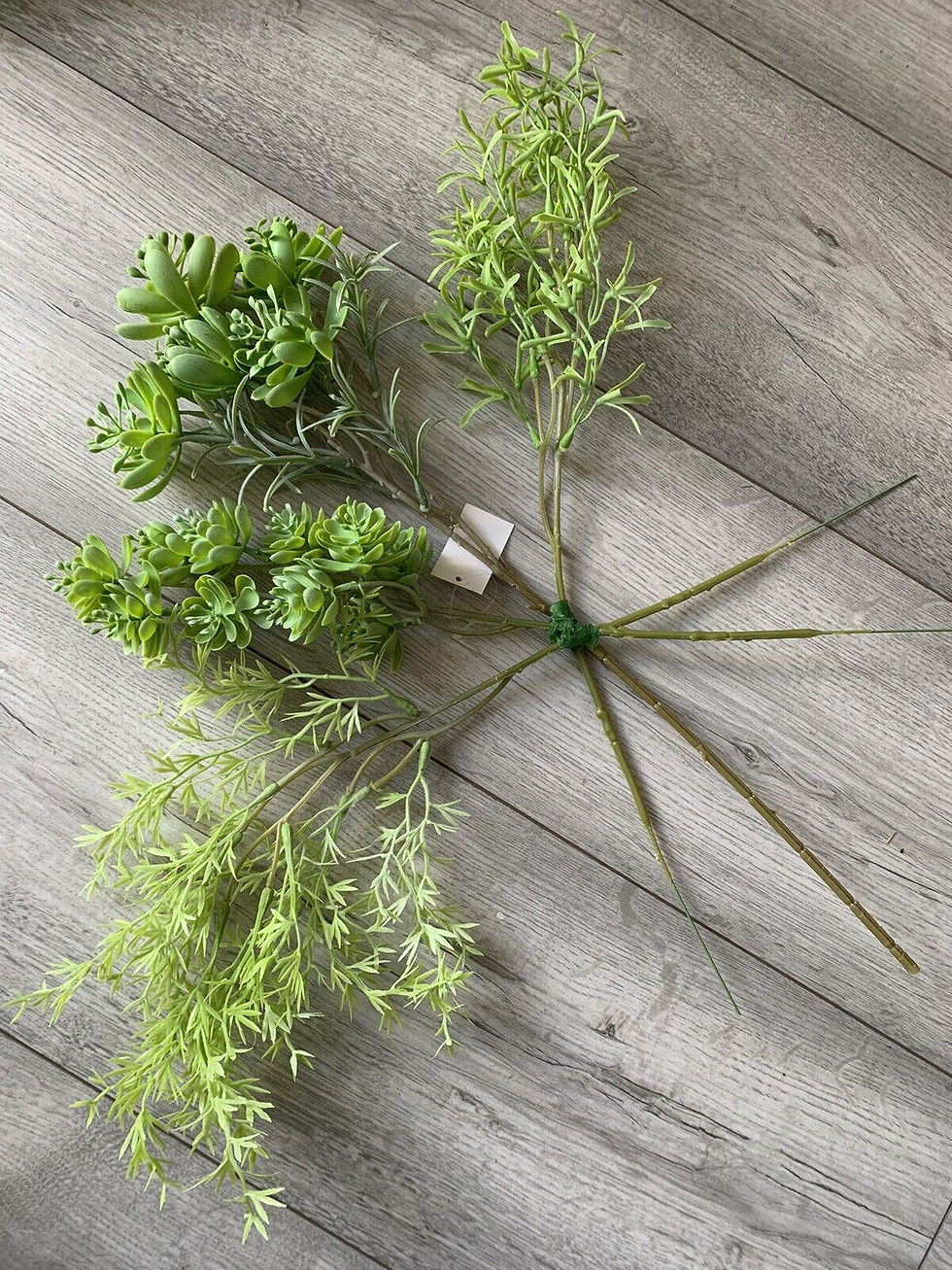 Thumbnail: 1 x Mixed Succulent Foliage Bundles