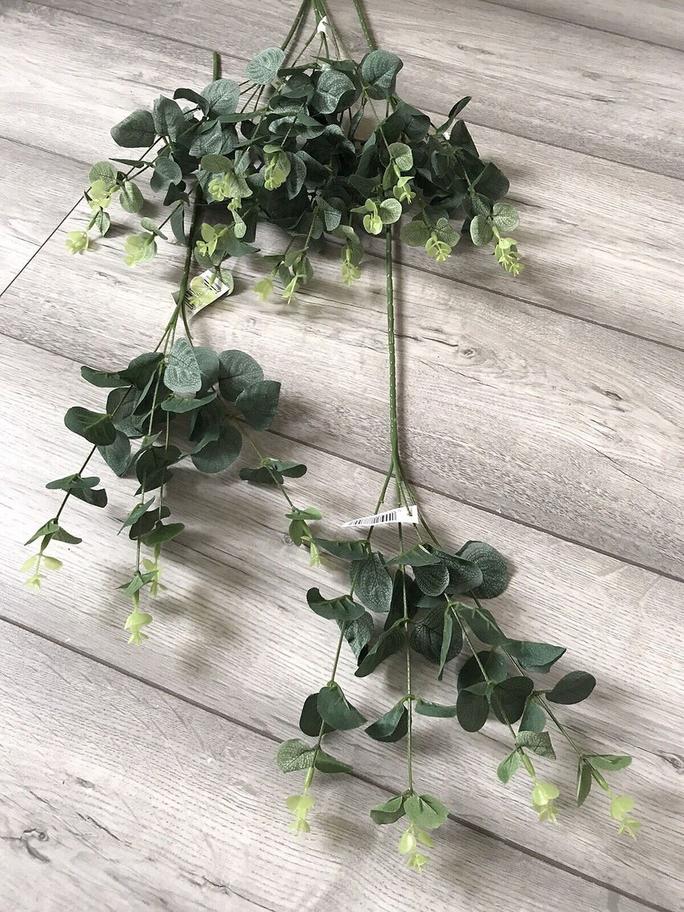 Thumbnail: 1 x 58cm Eucalyptus Spray