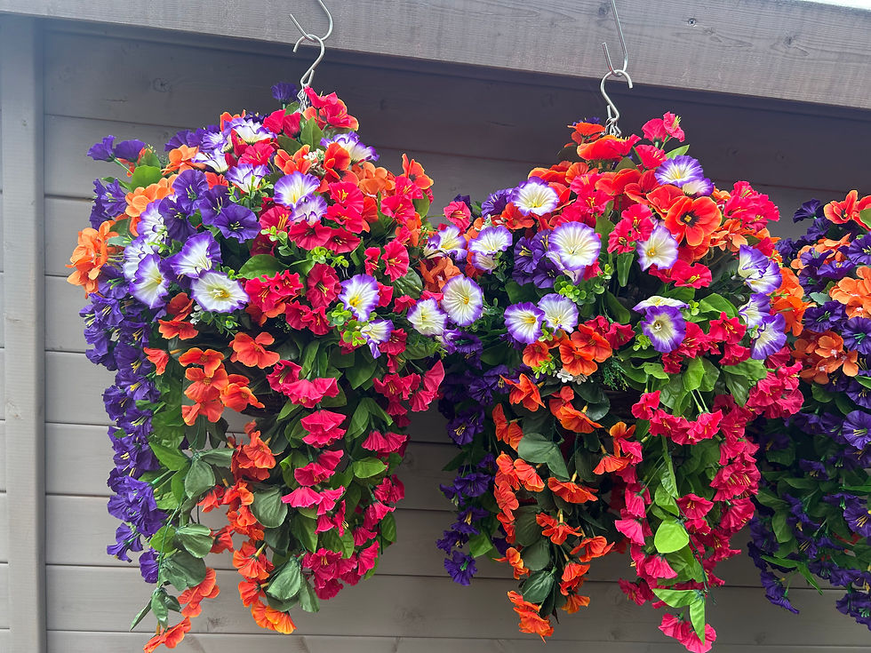 Thumbnail: Purple Orange Fuchsia Garden Hanging Basket 