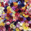 Thumbnail: 200pcs Mixed Flower Heads