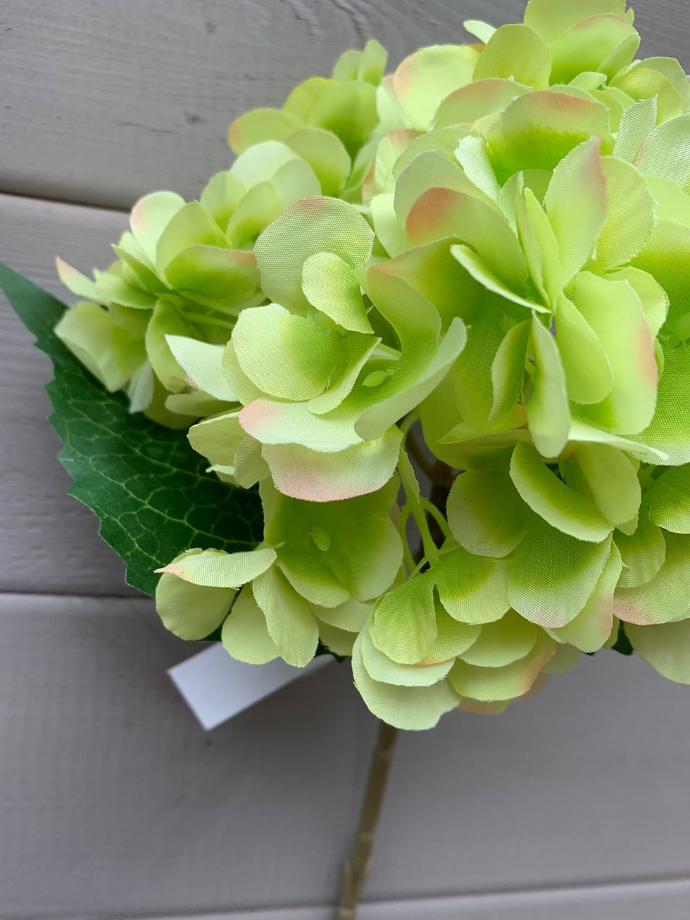 Thumbnail: 45cm Hydrangea Hortensia Stem Large Bloom