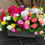 Thumbnail: Multicoloured Spray Roses Planter