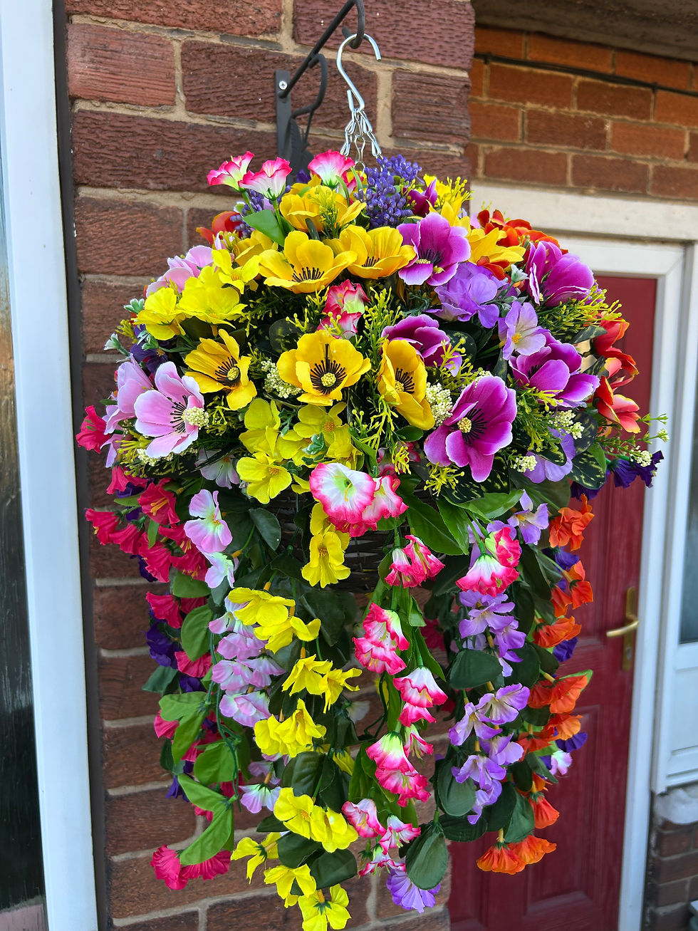 Thumbnail: Multicoloured anemones garden hanging basket
