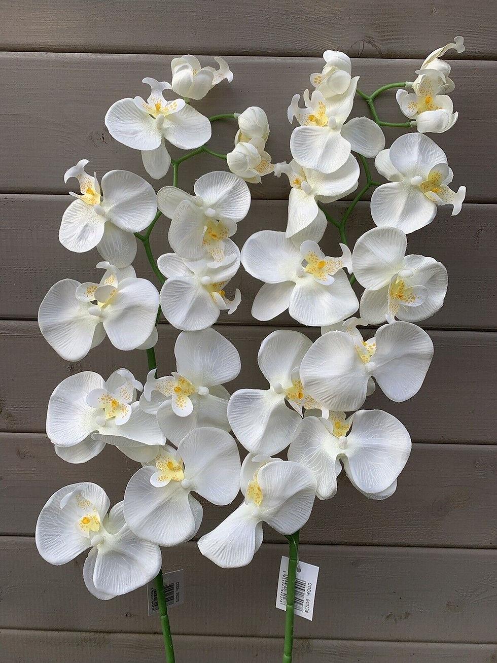 Thumbnail: 1 x 95cm Phalaenopsis Orchid Stem 