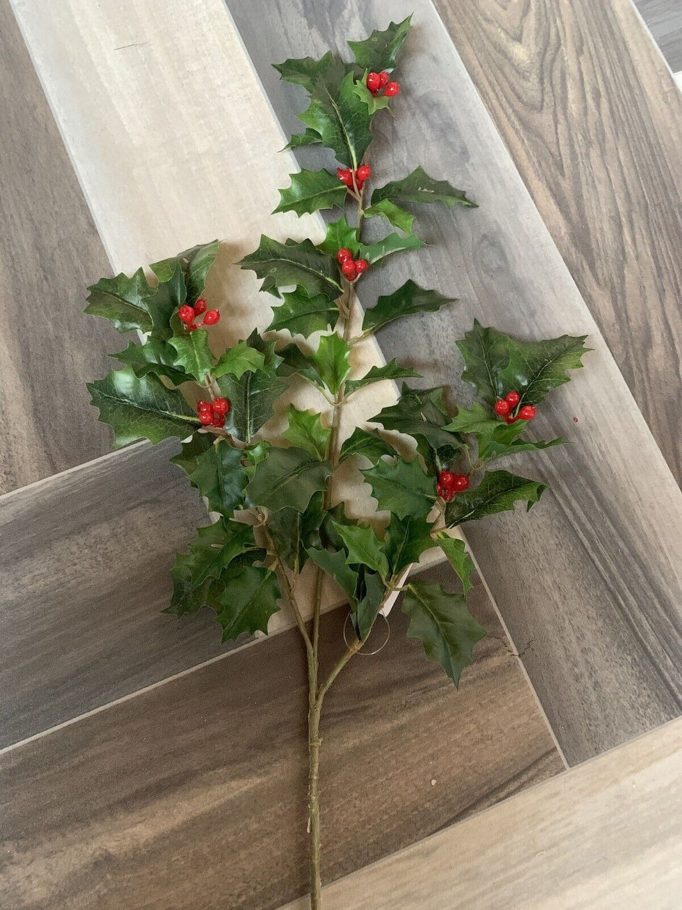 Thumbnail: 10 x Christmas Bushes Flowers Greens Mixed Lot