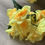 Thumbnail: 1 x Daffodils Narcissus Bush