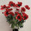 Thumbnail: 1 x Realistic 75cm Red Poppy Spray