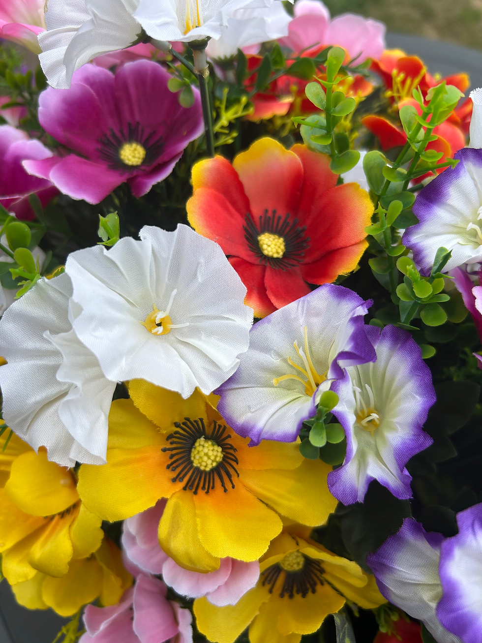 Thumbnail: Anemone/petunia garden hanging basket 