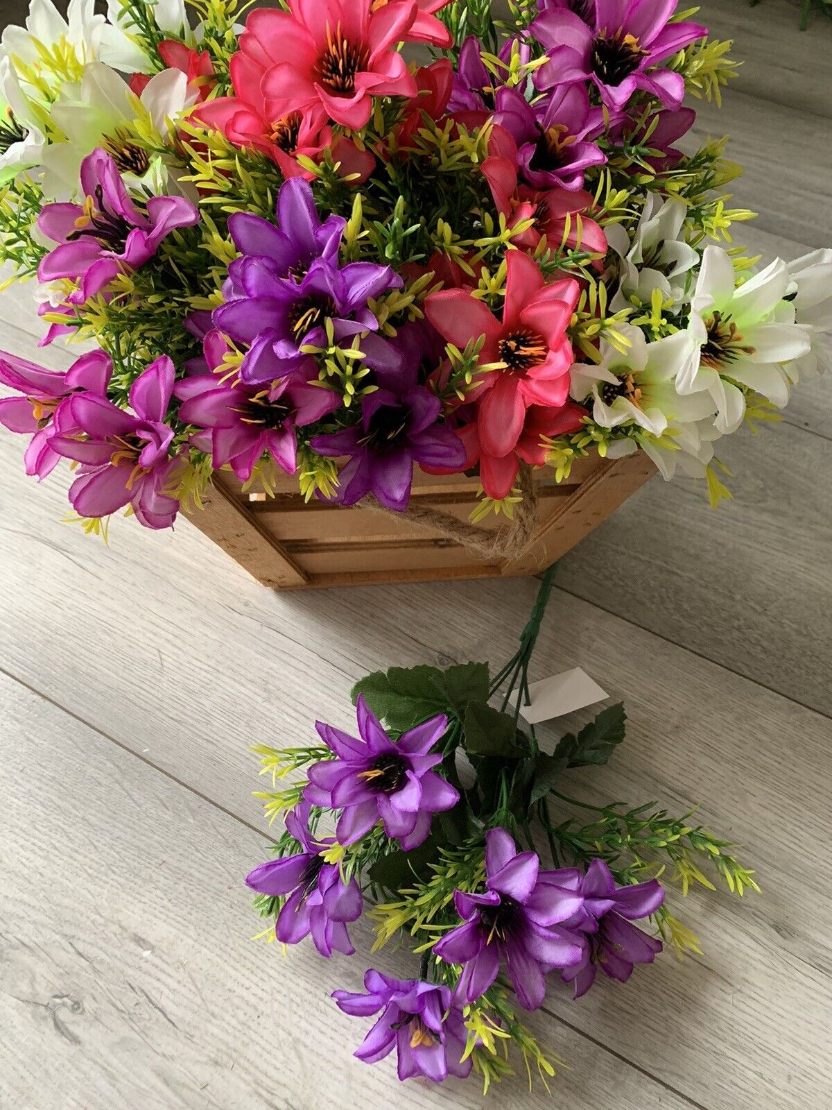 4 x Dahlia Bushes Mixed Lot