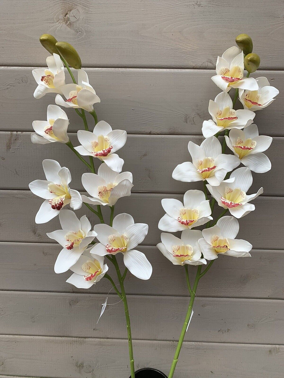 Thumbnail: 90cm Realistic Cymbidium Stem White Boat Orchid