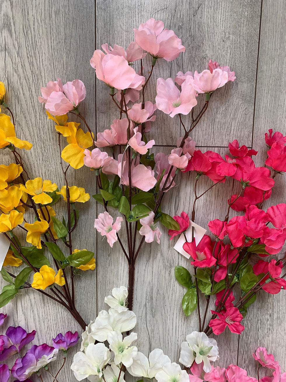 Thumbnail: Pack of 6 Cherry Blossom Bushes Assorted 