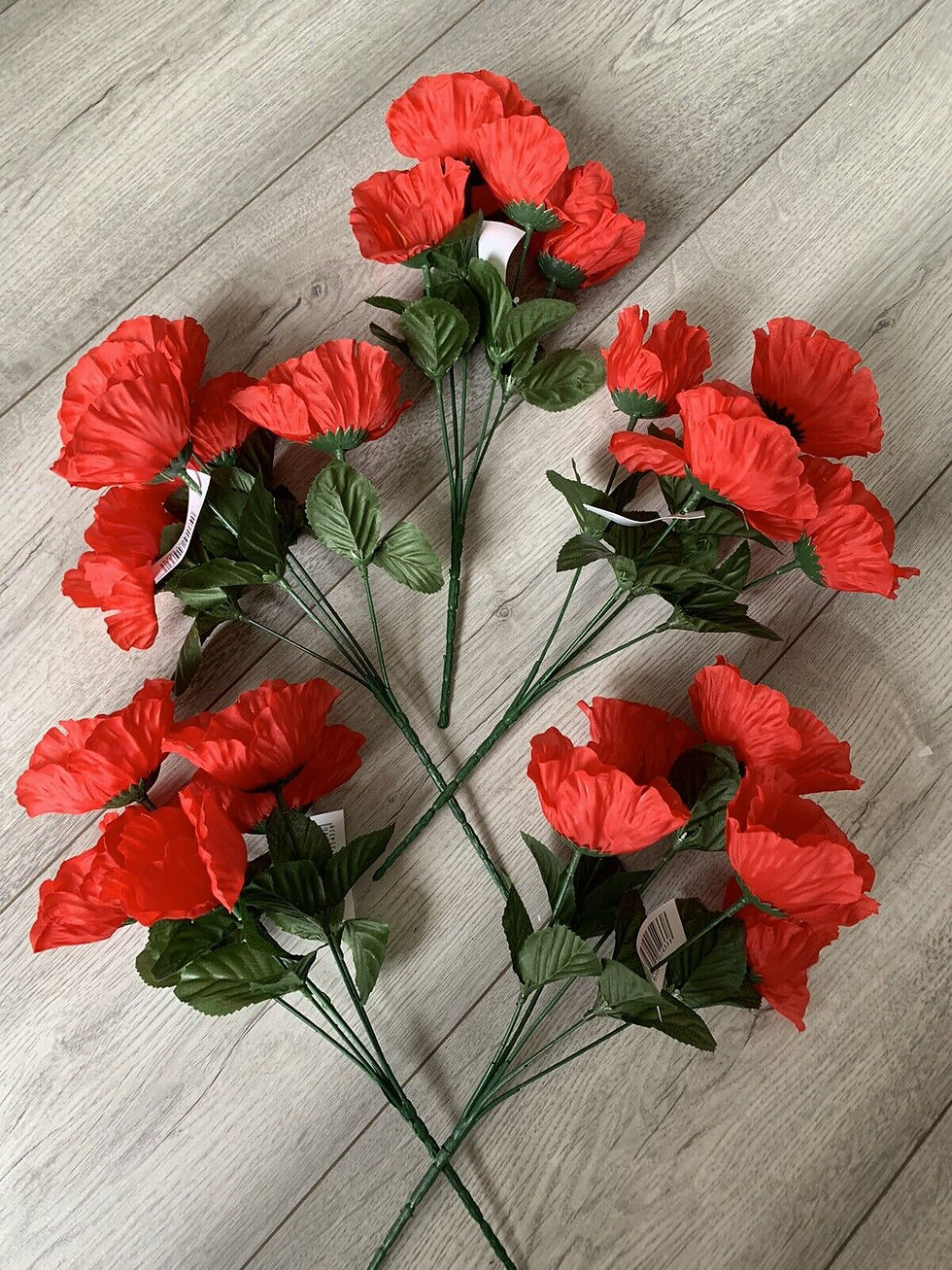 Thumbnail: 4 x Red Poppy Bushes