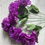 Thumbnail: Pack of 4 Purple Flowers Bunches Mix