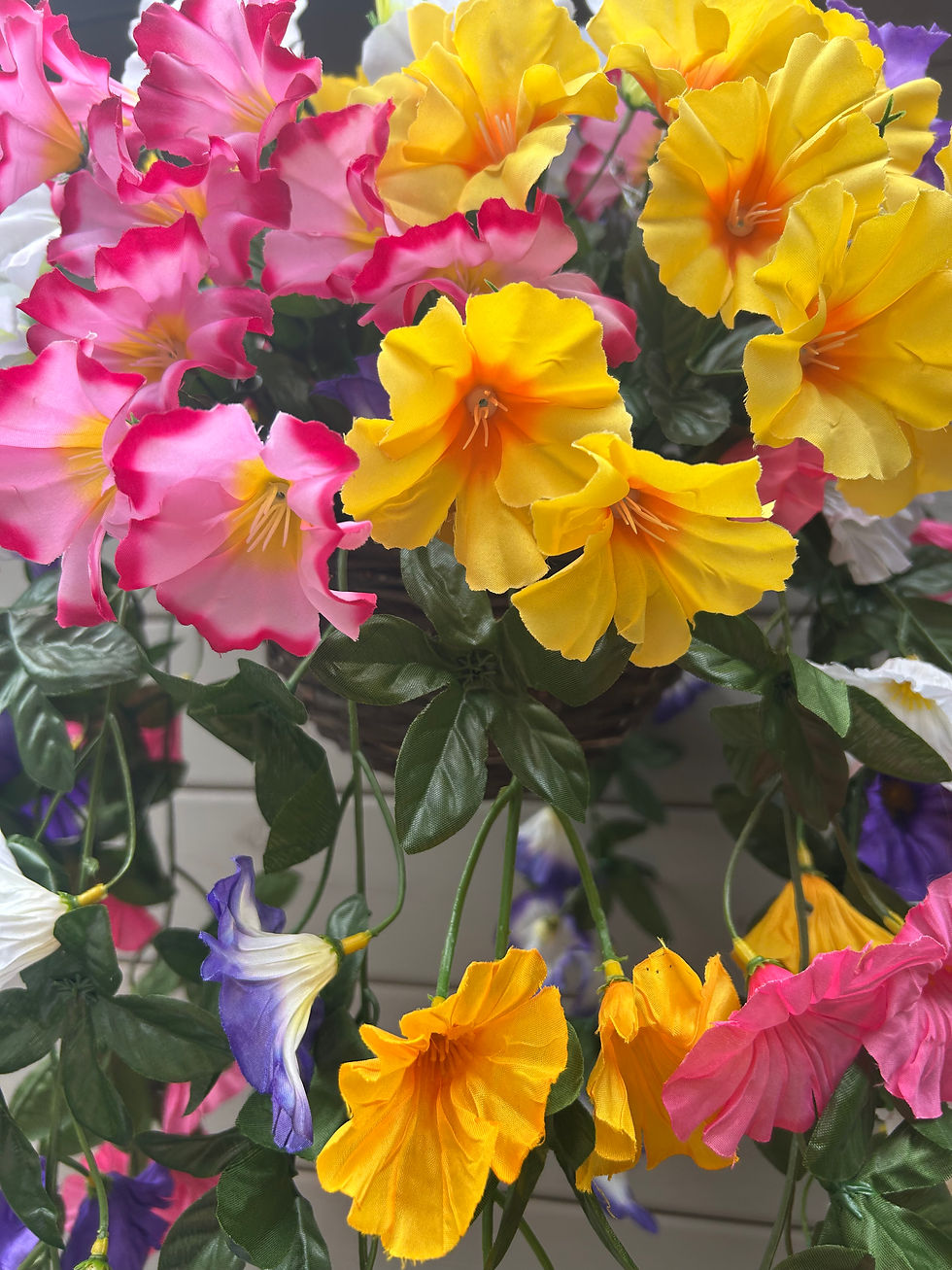 Thumbnail: Petunias Garden Hanging Basket
