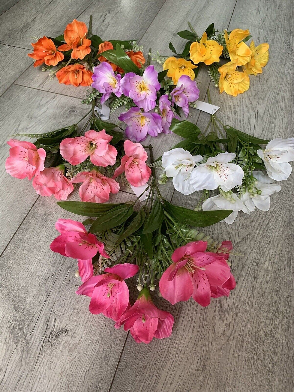 Pack of 6 Alstroemeria Fern Flower Bushes Assorted