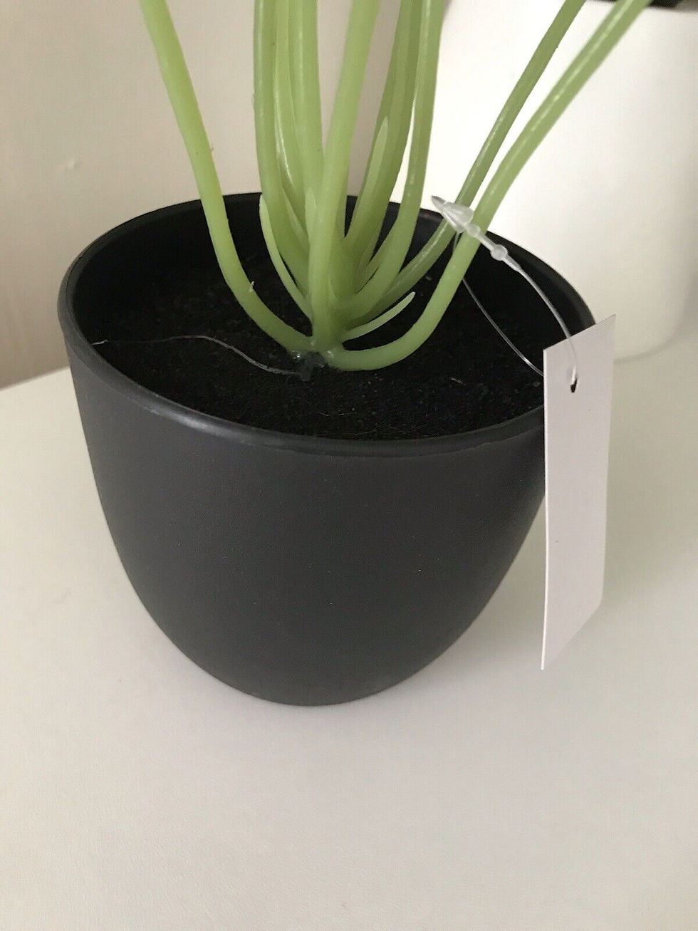 Thumbnail: SET OF 3 Houseplants (Potted)