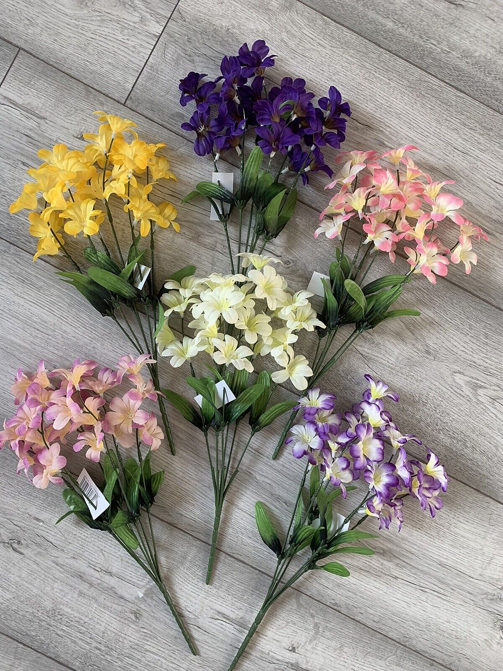 Thumbnail: 12x FLOWER BUSHES Mixed Lot