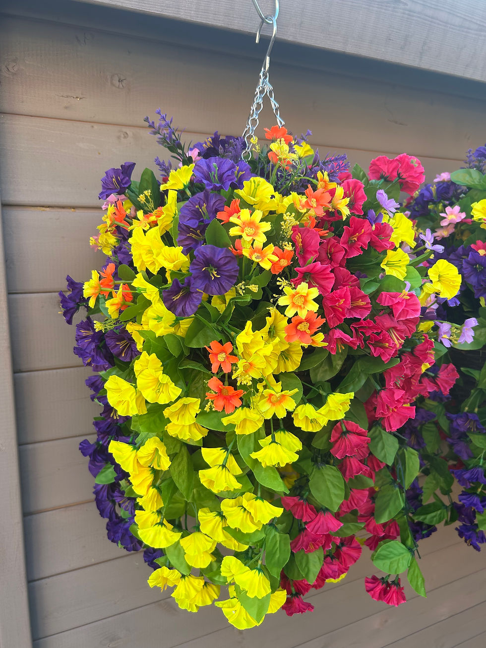 Thumbnail: Yellow Purple Fuchsia Garden Hanging Basket 