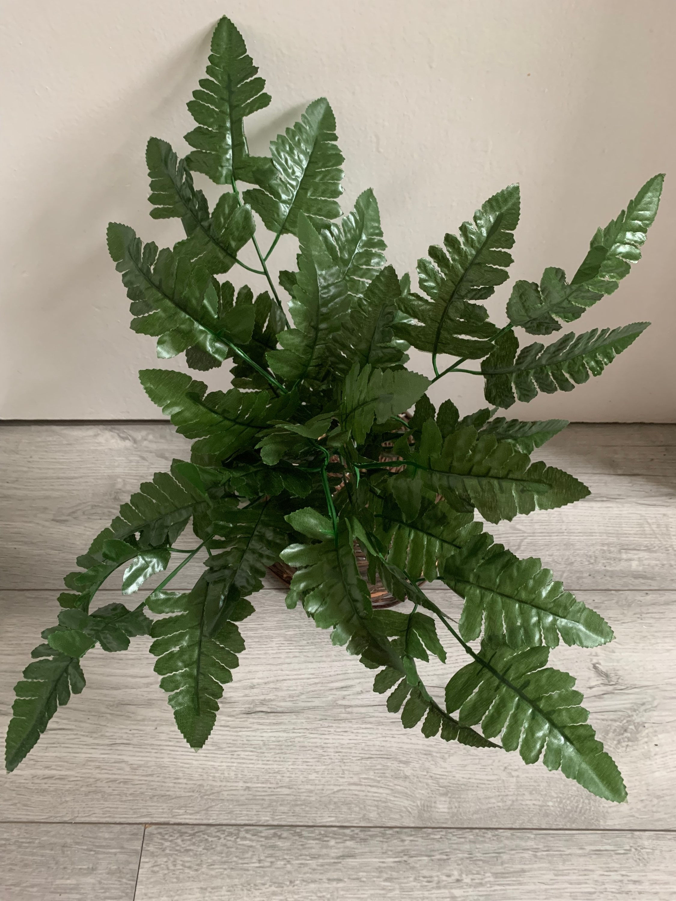 40 cm Leather Fern Bush