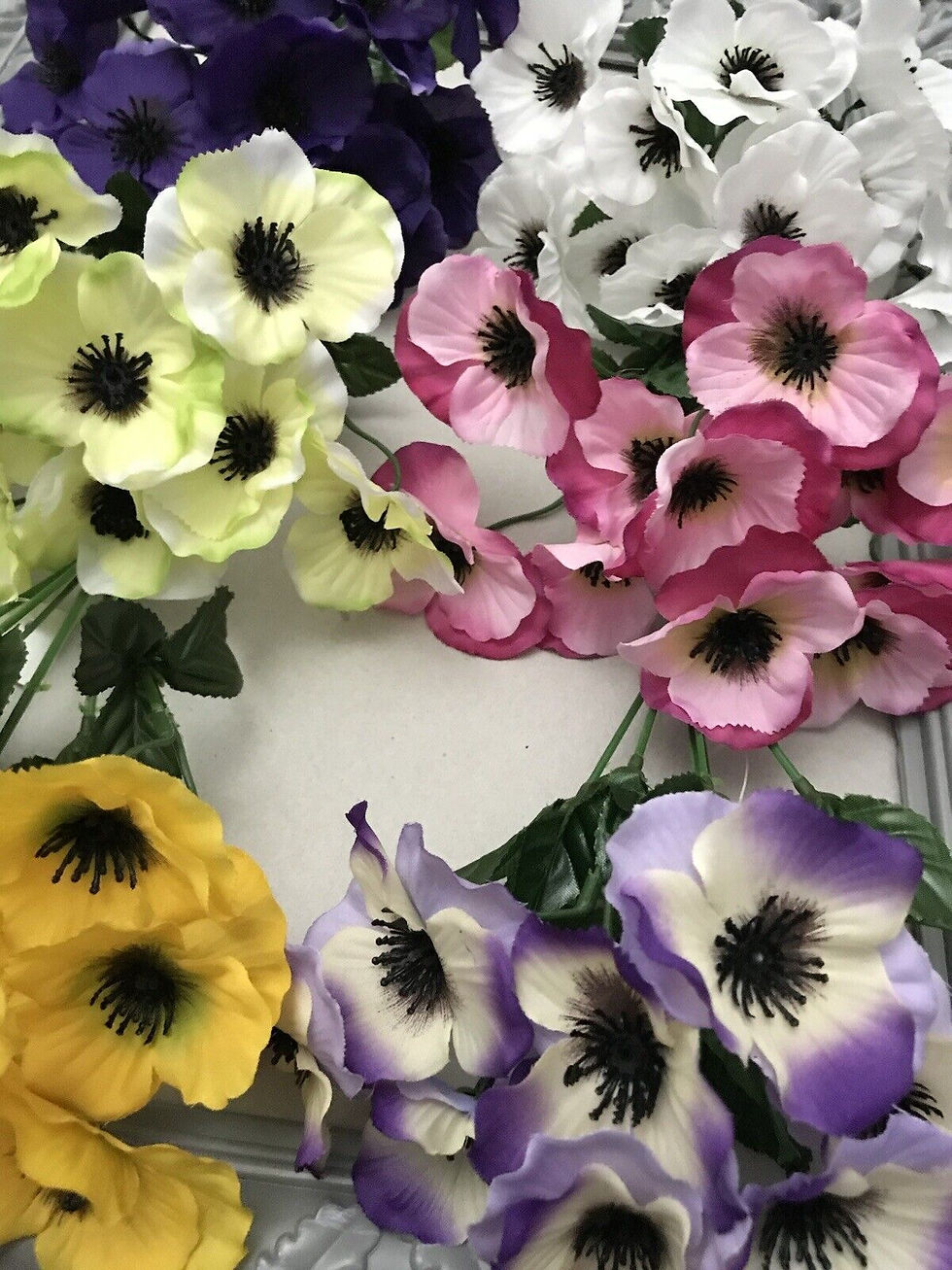 Thumbnail: 6x Pansy Bushes