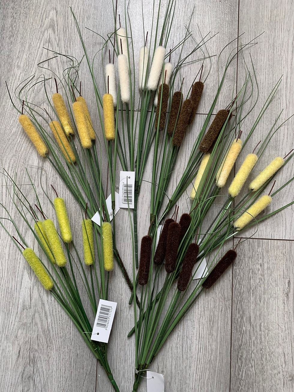 Thumbnail: Pack of 6 Bullrush Bushes