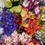 Thumbnail: 50x Small Medium Spring Flower Heads