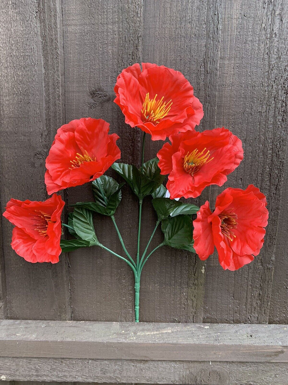 Thumbnail: 4 x Red Poppy Bushes