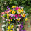 Thumbnail: Colourful Anemones Large Planter Window Box