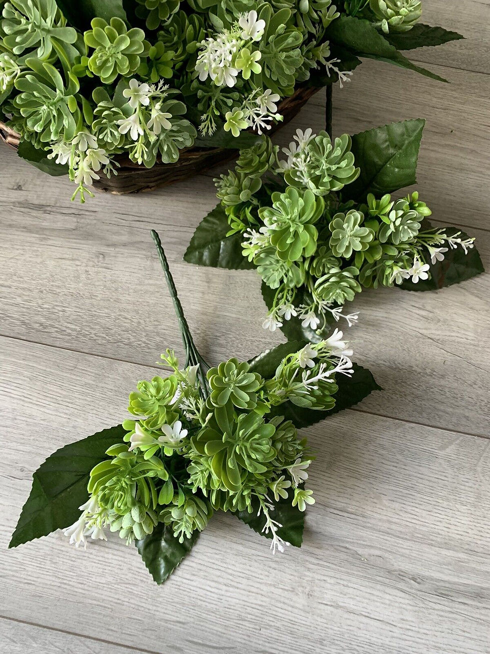Thumbnail: 1 x Succulents Foliage Bush