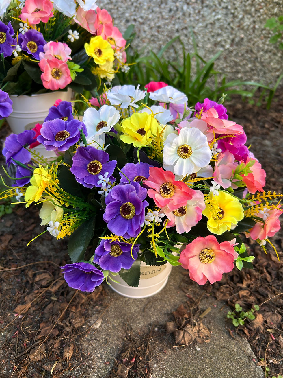 Thumbnail: Colourful anemones in the metal planter