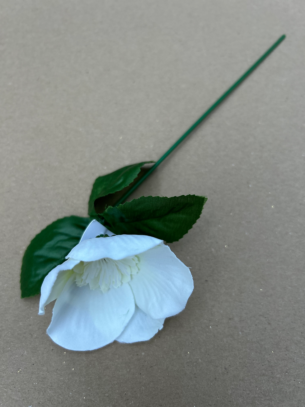 Thumbnail: 20cm Christmas Rose Stem ~ White Hellebore 