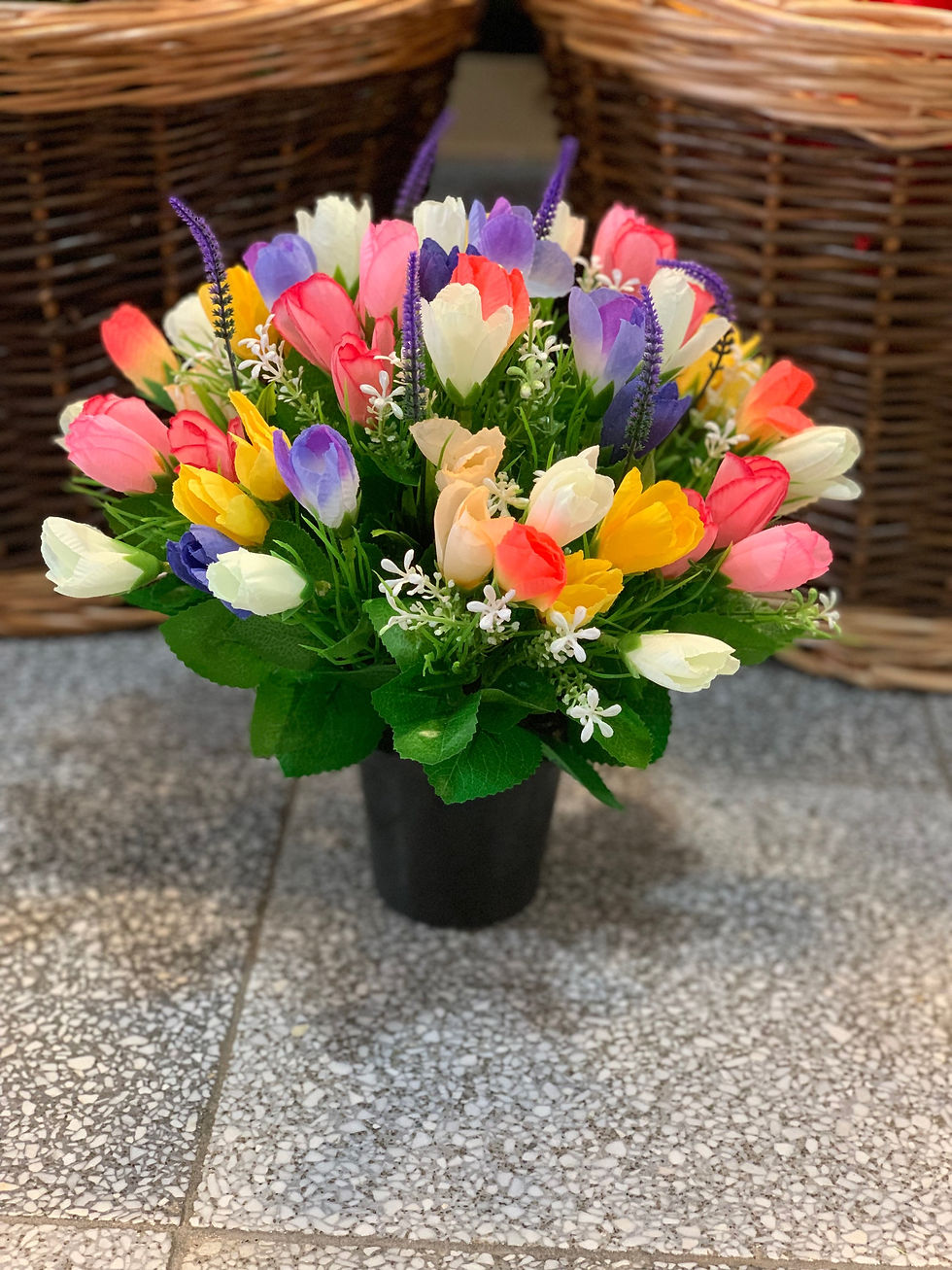 Thumbnail: Pretty Crocuses Crem/Garden Pot Mixed Colours 