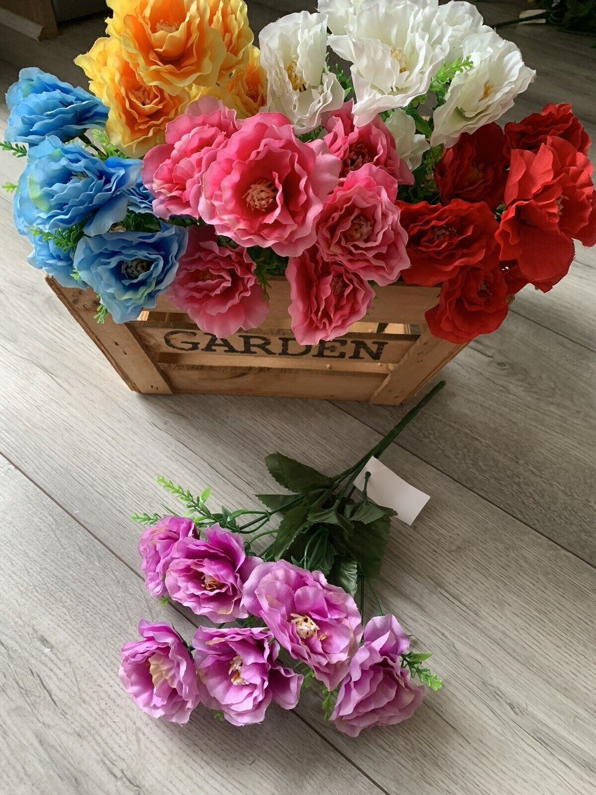 6x Mini Peony Bushes