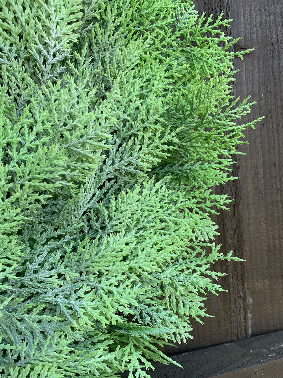 Thumbnail: XL REALISTIC CONIFER FERN DOOR WREATH