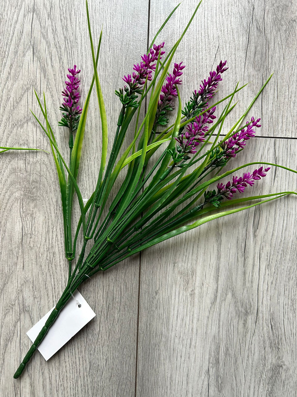 Thumbnail: Pack of 6 x Lavender Bushes ~ mixed colours 