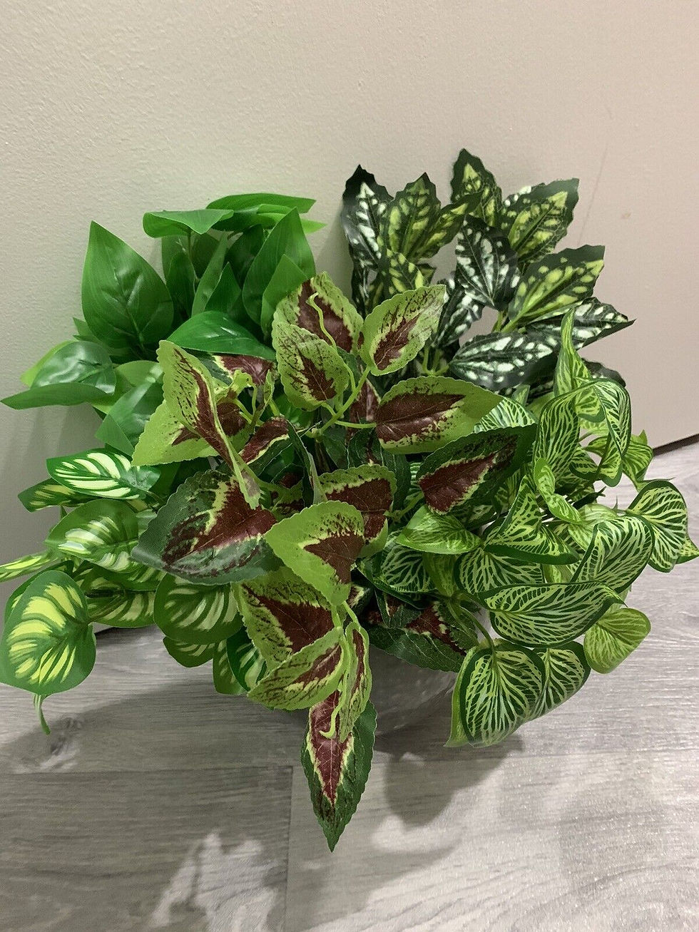 Thumbnail: 5x Mixed Foliage Bushes