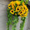 Thumbnail: Sunflowers garden hanging basket trailing