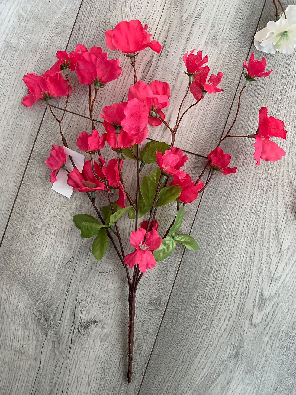 Thumbnail: Pack of 6 Cherry Blossom Bushes Assorted 