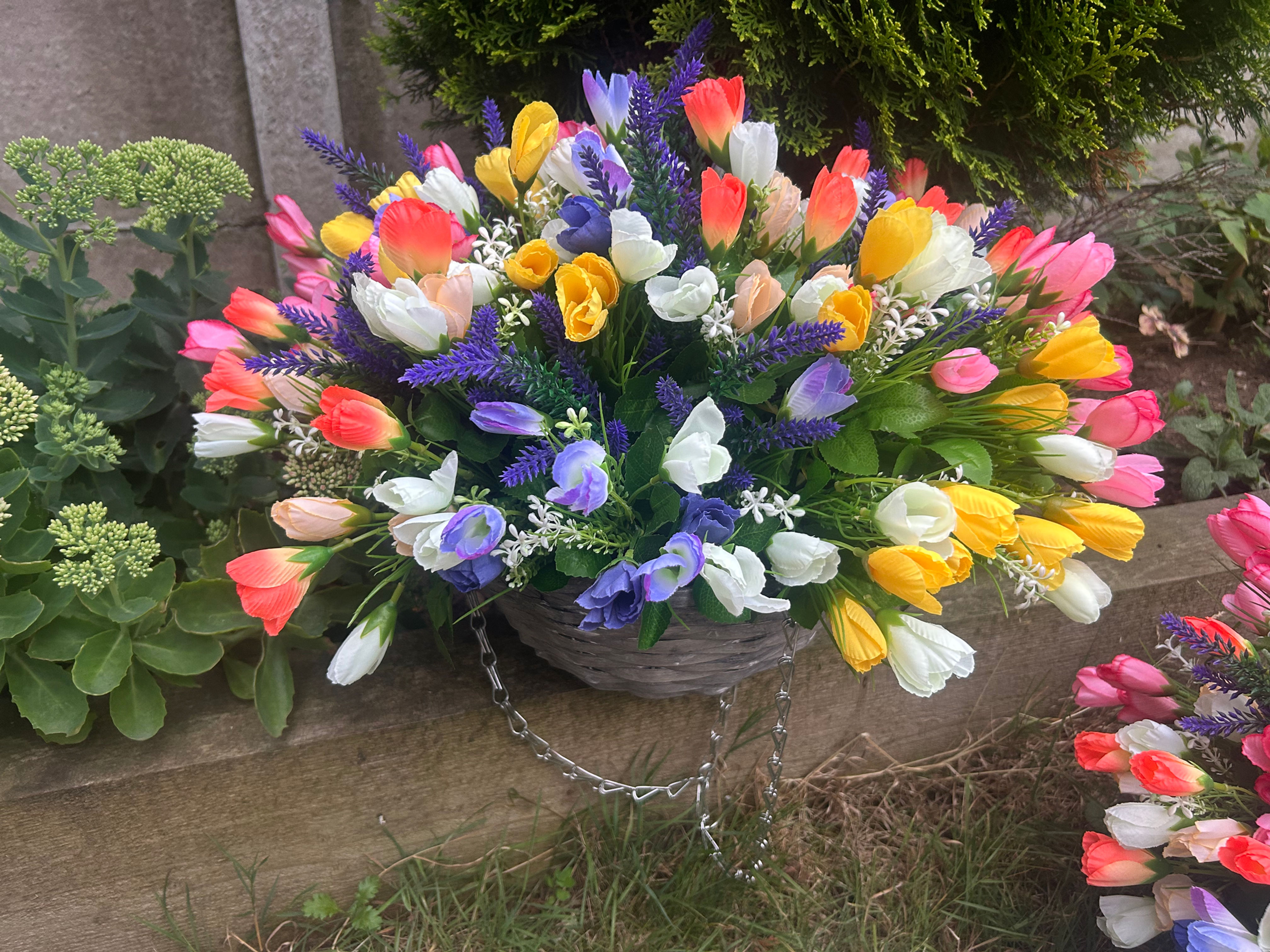 Large Hanging Basket Beautiful Crocuses