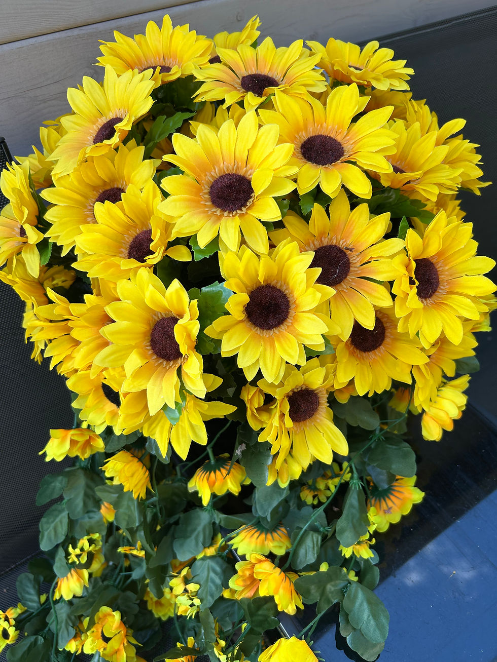 Thumbnail: Sunflowers garden hanging basket trailing