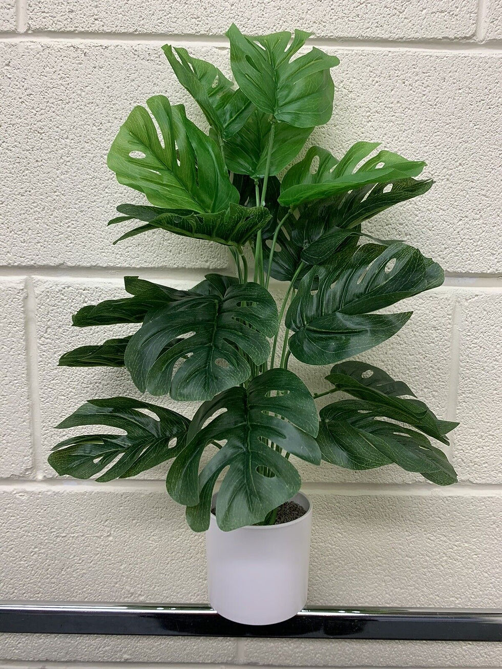 Thumbnail: 4 POTTED HOUSEPLANTS