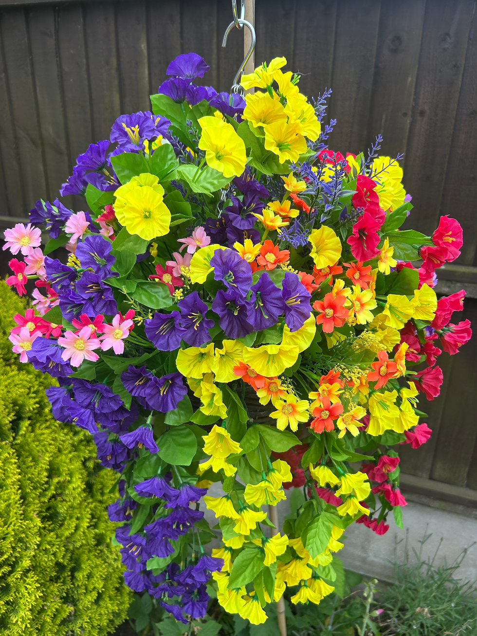 Thumbnail: Yellow Purple Fuchsia Garden Hanging Basket 