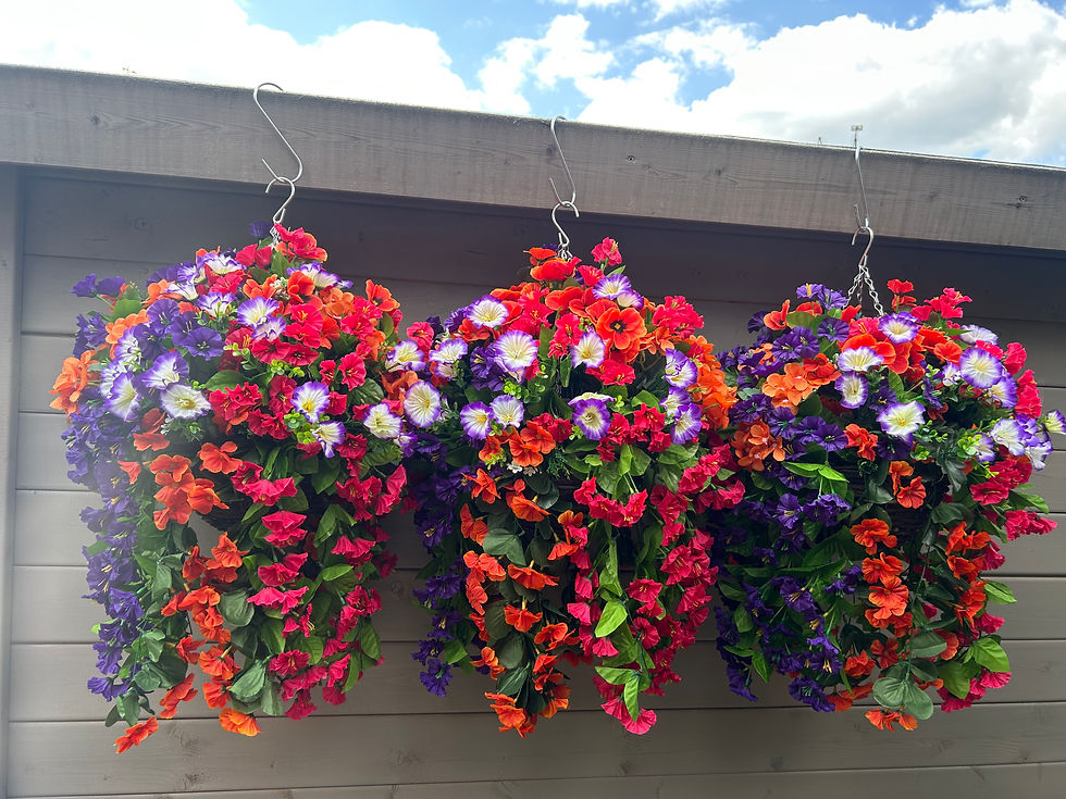 Thumbnail: Purple Orange Fuchsia Garden Hanging Basket 